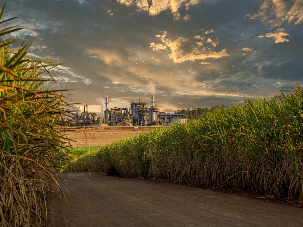 Sugar cane factory featuring boiler scale inhibitor
